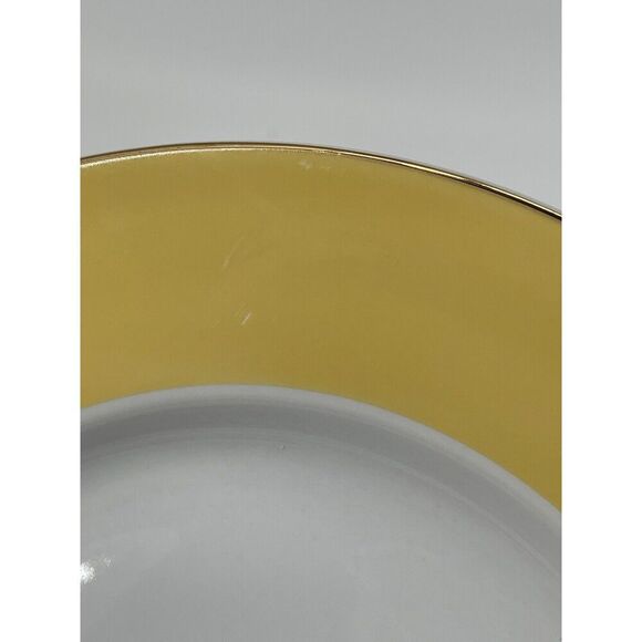 Pottery Barn GREAT WHITE Yellow 10.5” DINNER PLATE Discontinued Easter Spring - Picture 3 of 6